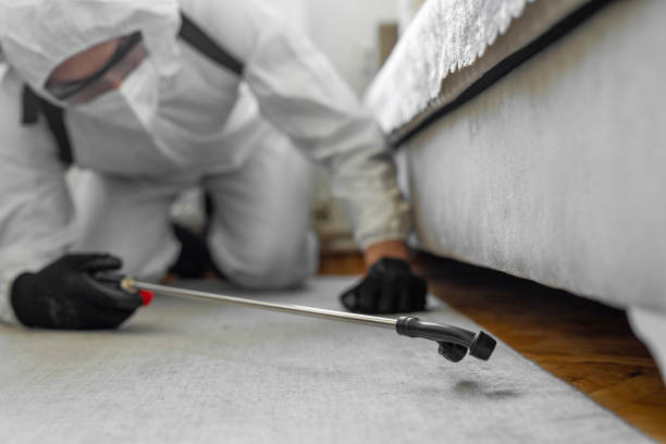 Professional Bed Bug Control technician working in Sunrise Beach Village, TX
