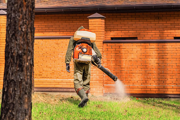 Trusted Ant Control service in Sunrise Beach Village, TX - Nex Pest Control